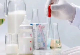 شیر شتر مقوی‌تر است یا شیر گاو؟