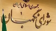شورای نگهبان: اتحادیه اروپا باید عواقب سخت ماجراجویی خود را بپذیرد