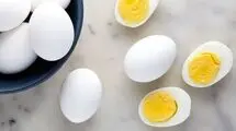 افزایش باورنکردنی کلسترول خون با این غذای حاضری
