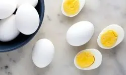 افزایش باورنکردنی کلسترول خون با این غذای حاضری