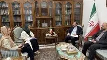 دیدار هماهنگ‌کننده مقیم سازمان ملل متحد در تهران با غریب‌آبادی