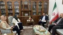 دیدار هماهنگ‌کننده مقیم سازمان ملل متحد در تهران با غریب‌آبادی