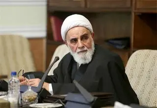 ناطق نوری: سخنرانی کردن را فراموش کرده‌ام