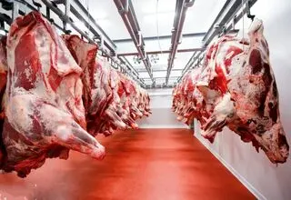 پیش بینی خطرناک درباره افزایش قیمت گوشت رسماً اعلام شد