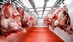پیش بینی خطرناک درباره افزایش قیمت گوشت رسماً اعلام شد