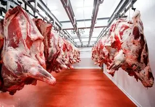 پیش بینی خطرناک درباره افزایش قیمت گوشت رسماً اعلام شد