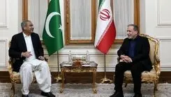 دیدار وزیر کشور پاکستان با عراقچی؛ تأکید بر گسترش همکاری‌های دوجانبه و امنیت منطقه