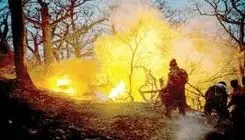 مافیای چوب پشت پرده آتش‌سوزی؟ 