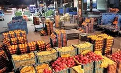 اجرای طرح شناسنامه‌دار کردن، رهگیری و ردیابی محصولات زراعی