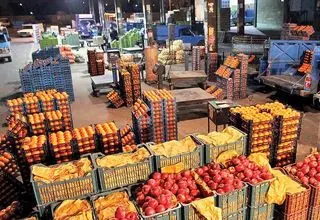 اجرای طرح شناسنامه‌دار کردن، رهگیری و ردیابی محصولات زراعی