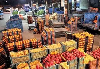 اجرای طرح شناسنامه‌دار کردن، رهگیری و ردیابی محصولات زراعی