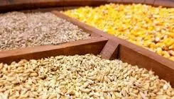 ضعف های اجرایی و تصمیمات تبعیض آمیز عامل تداوم شرایط بحرانی