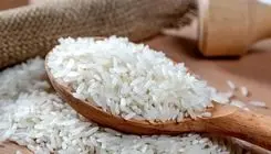 خبر خوش درباره برنج رسماً اعلام شد