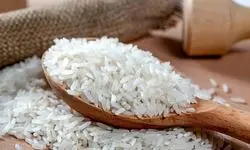 خبر خوش درباره برنج رسماً اعلام شد