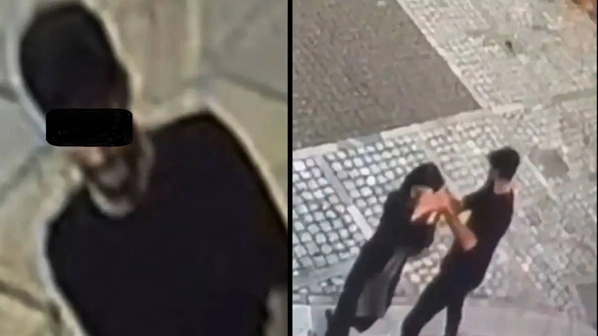 لحظه وحشتناک سرقت تلفن همراه از دختر جوان در سعادتآباد تهران+ فیلم