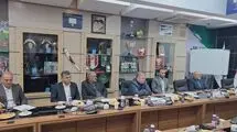 مدیرعامل آلومینیوم: سه اشتباه داوری، هر سه به سود گل‌گهر