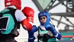 حسن‌زاده: حمله به اماکن ورزشی خیانت به روح ورزش است
