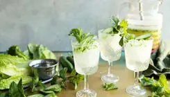 نوشیدنی خانگی دلپذیر، شربت سکنجبین نعنای تازه برای روزهای گرم