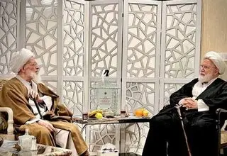 آیت الله بیات‌ زنجانی با مهدی کروبی دیدار کرد 
