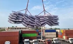 ترخیص  ۲ میلیون و ۸۷۴ هزار تن کالای اساسی از گمرکات طی ۳۹ روز جنگ