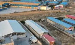 تمدید مشوق واگذاری زمین به متقاضیان سرمایه‌گذاری در نواحی صنعتی کشور