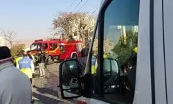 جان‌ باختن کارگر جوان در حین هرس درختان در تبریز