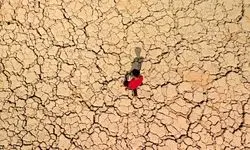 ایران تشنه‌تر از همیشه؛ رودخانه‌ها و تالاب‌ها یکی پس از دیگری می‌میرند