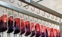 نمونه‌های خون بستگان درجه یک مفقودین حادثه هرمزگان در بانک خون بارگذاری شد