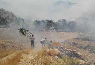مهار آتش‌سوزی منطقه حفاظت‌شده دنا پس از ۵ ساعت و نیم تلاش بی‌وقفه