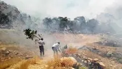 مهار آتش‌سوزی منطقه حفاظت‌شده دنا پس از ۵ ساعت و نیم تلاش بی‌وقفه