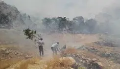 مهار آتش‌سوزی منطقه حفاظت‌شده دنا پس از ۵ ساعت و نیم تلاش بی‌وقفه