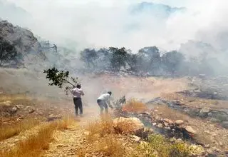 مهار آتش‌سوزی منطقه حفاظت‌شده دنا پس از ۵ ساعت و نیم تلاش بی‌وقفه