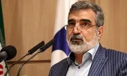 کمالموندی: اقدام اتریش پیگیری می‌شود 