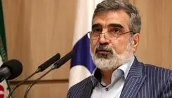 کمالموندی: اقدام اتریش پیگیری می‌شود 