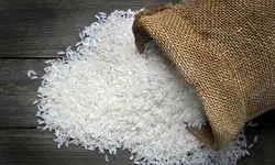 خبر خوش درباره برنج ایران رسماً اعلام شد