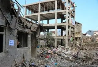 آنها خانوادگی پر کشیدند