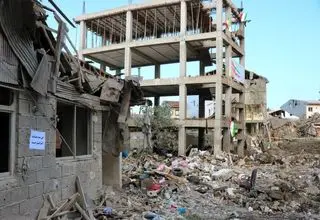 آنها خانوادگی پر کشیدند