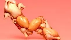 قیمت مرغ رسماً بازار را به هم ریخت (۱۲ آذر)