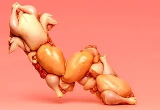 قیمت مرغ رسماً بازار را به هم ریخت (۱۲ آذر)