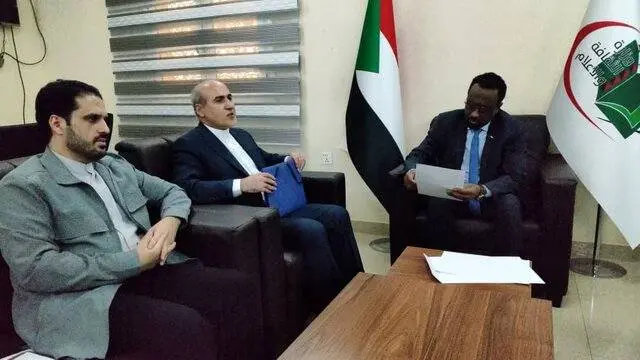 شاه‌حسینی: پیام تسلیت ایران را به سودان اعلام کردم