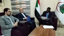 شاه‌حسینی: پیام تسلیت ایران را به سودان اعلام کردم