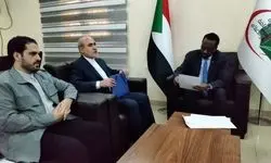 شاه‌حسینی: پیام تسلیت ایران را به سودان اعلام کردم