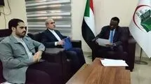 شاه‌حسینی: پیام تسلیت ایران را به سودان اعلام کردم