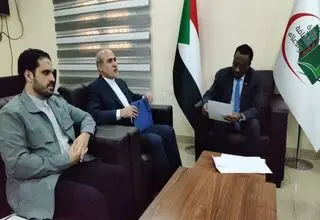 شاه‌حسینی: پیام تسلیت ایران را به سودان اعلام کردم