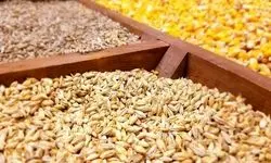 نهاده به میزان کافی در بنادر داریم 