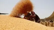 برای تامین آرد و نان مردم مشکلی نداریم