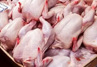 کمک به تامین سرمایه و ارایه تسهیلات برای افزیش گوشت قرمز در سال 1405