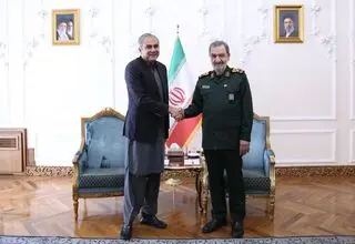 وزیر کشور پاکستان با دبیر شورای عالی امنیت ملی دیدار کرد