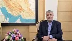 معاون بین‌الملل شرکت دولتی «روس‌اتم» با اسلامی دیدار کرد