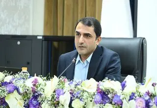  بدهی تسهیلات غیرجاری ۷۰۰ میلیون تومانی در گزارش اعتبارسنجی محاسبه نمی‌شود 